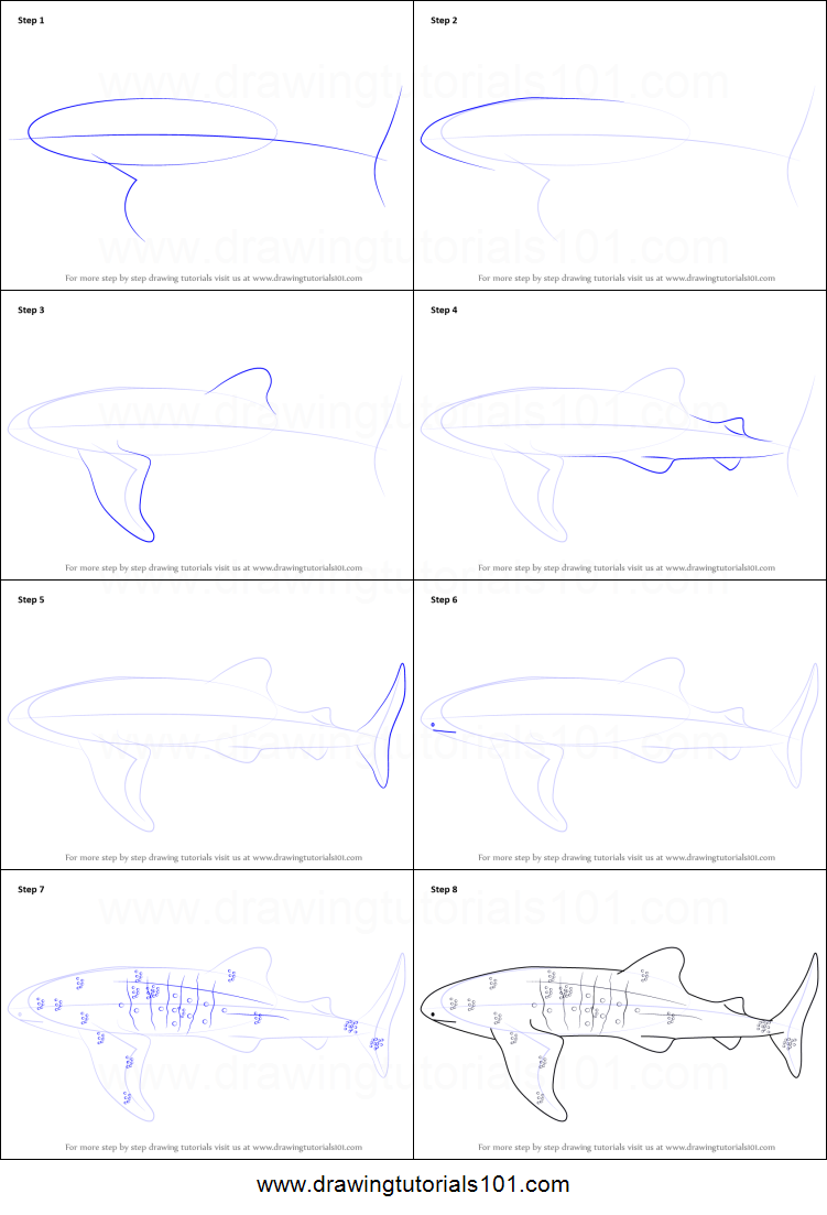 751x1103 How To Draw A Whale Shark Printable Step - Whale Shark Drawing