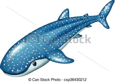 450x321 Vector Illustration Of Cartoon Whale Shark Isolated On White - Whale Shark Drawing