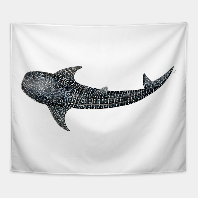 630x630 whale shark rhincodon typus for divers, animal lovers - Whale Shark Drawing