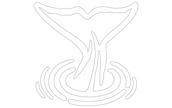 584x368 Whale Tail Sticker - Whale Tail Drawing