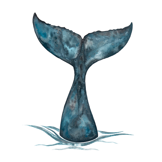 530x530 Whale Tail Tee Doodlewear - Whale Tail Drawing