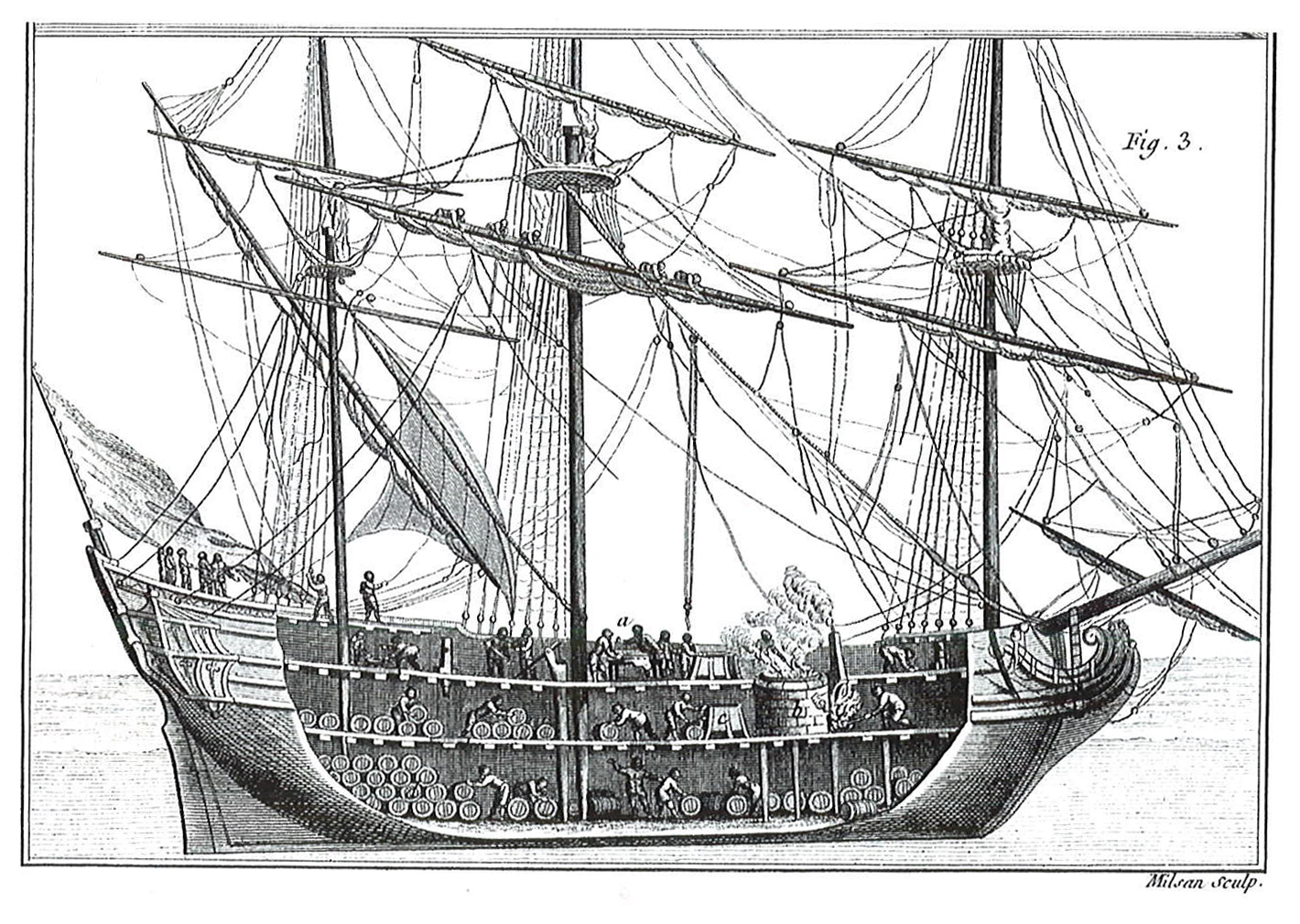 1420x1010 history of the biarritz basques, and commrecial whaling recovery ...
