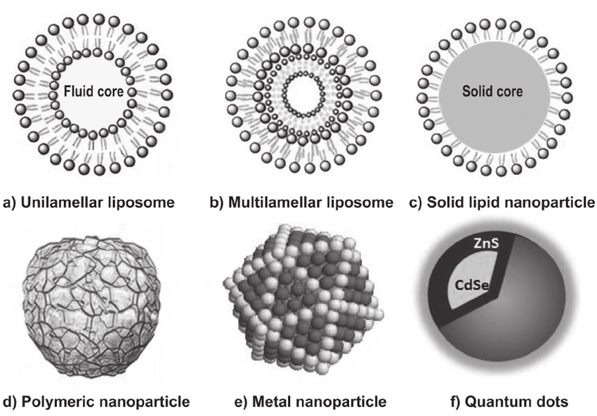850x592 Schematic Drawing Of Different Types Of Nanoparticles Download - What Are The Types Of Drawing