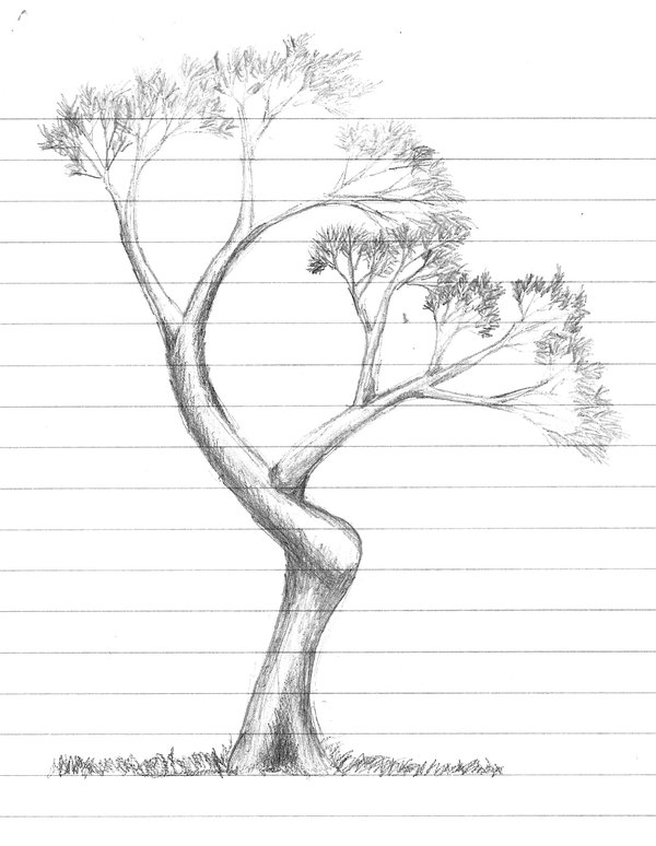 600x774 The Churchill School And Center Drawing On Confidence - What Drawing