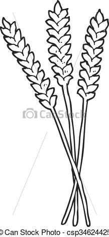 217x470 freehand drawn black and white cartoon wheat - Wheat Drawing