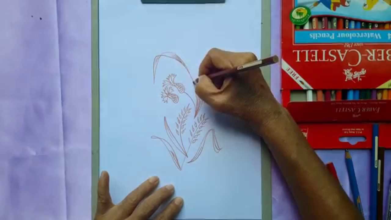 1280x720 how to draw wheat easy drawing tutorials - Wheat Drawing