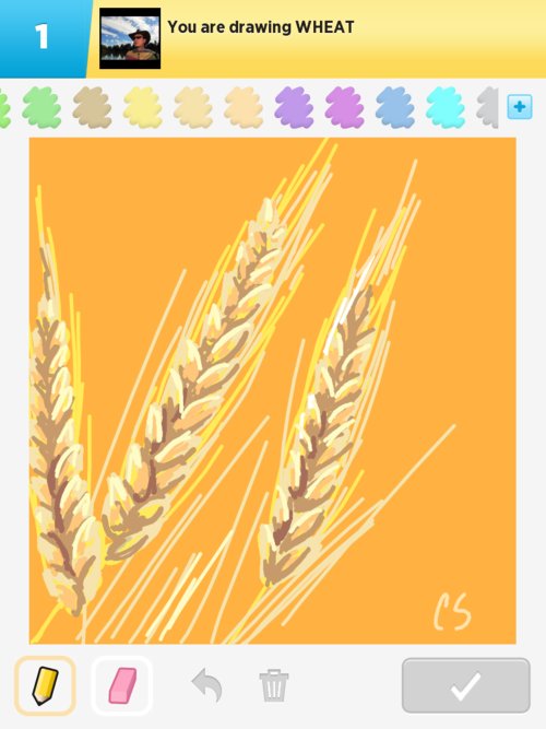 Wheat Drawing at PaintingValley.com | Explore collection of Wheat Drawing