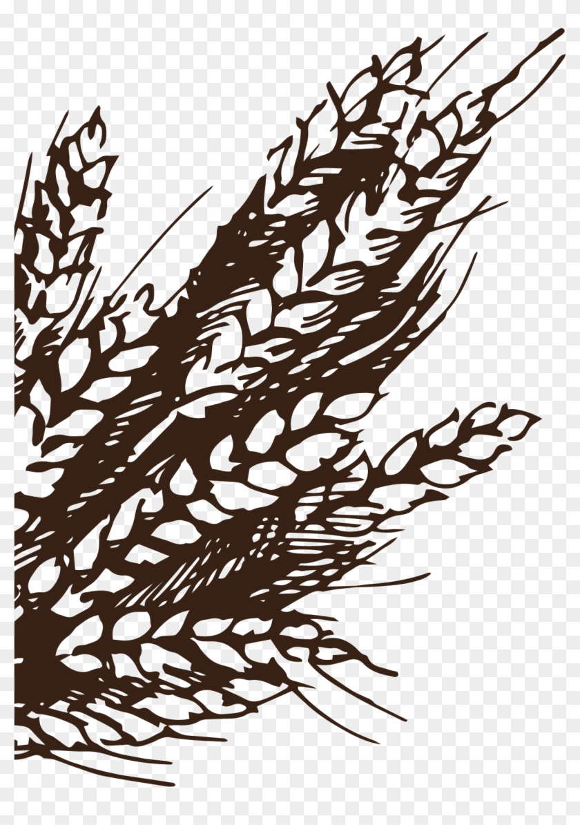 840x1194 bakery wheat drawing illustration - Wheat Drawing
