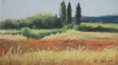 375x208 Poplars And Wheat Field Drawing - Wheat Field Drawing