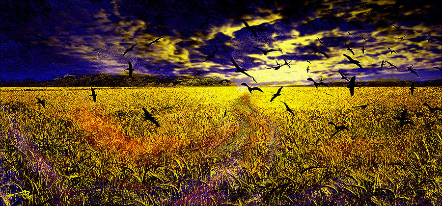900x420 Vincent's Wheat Field With Crows Drawing - Wheat Field Drawing