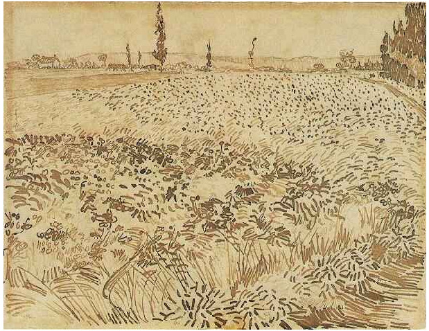 619x478 Wheat Field - Wheat Field Drawing