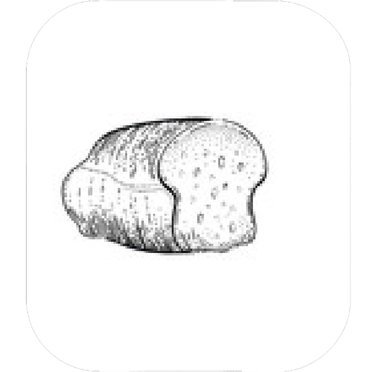 1200x1200 Designs Mein Mousepad Design Mousepad Selbst Designen - Wheat Line Drawing