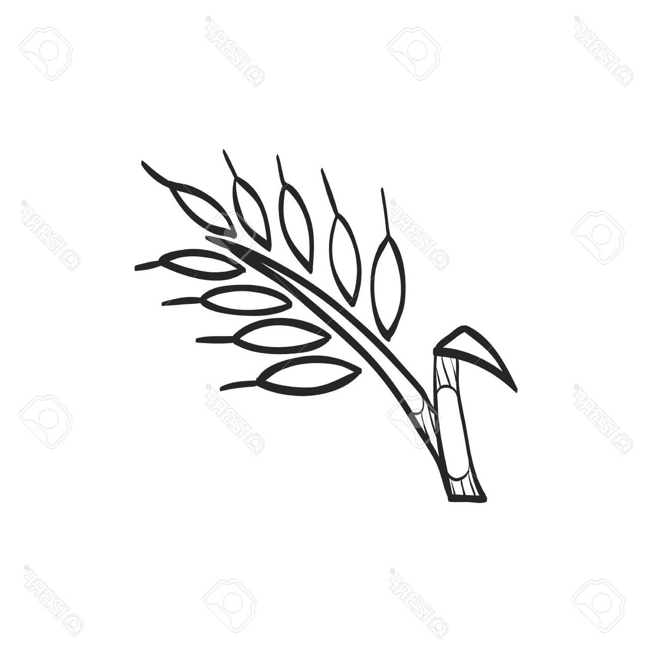 1300x1300 unique wheat icon in doodle sketch lines cereal seeds baking - Wheat Line Drawing