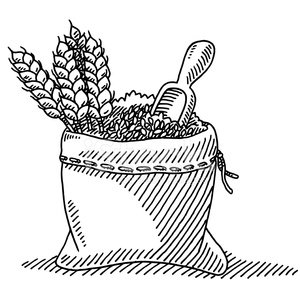 300x300 wheat plant grain sack drawing stock vectors - Wheat Line Drawing
