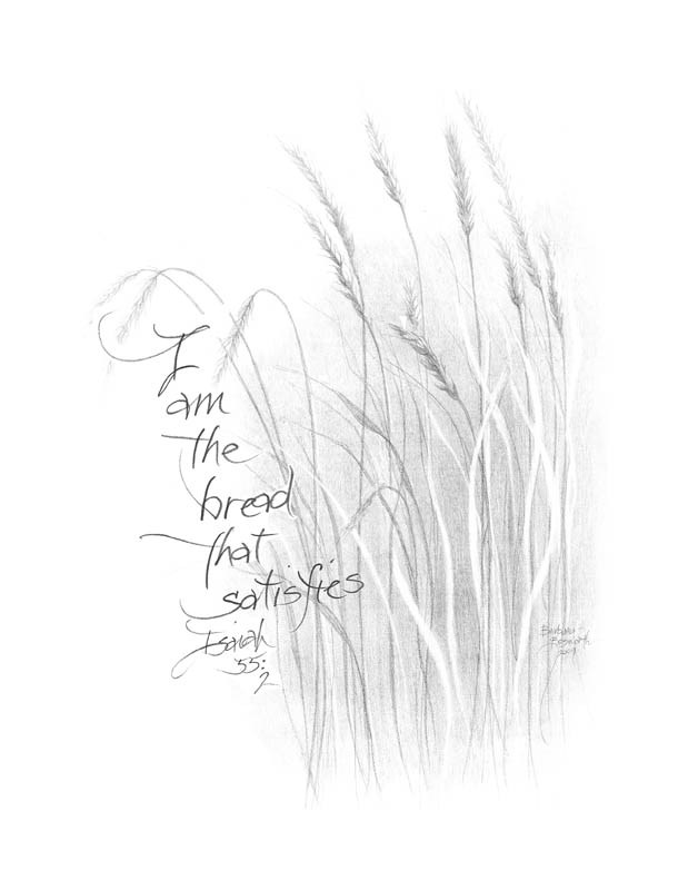 619x800 wheat art note heirlooms gallery - Wheat Line Drawing