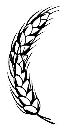 244x433 wheat - Wheat Line Drawing