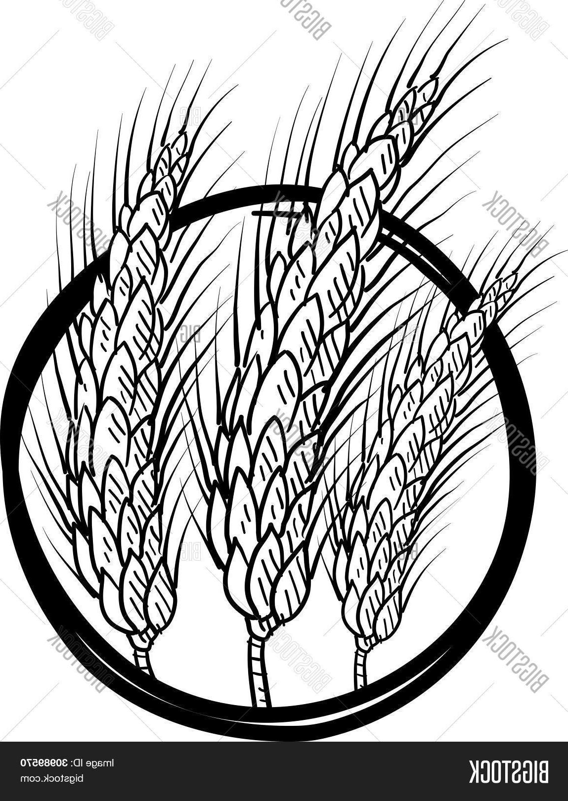 1149x1620 best free wheat line drawing vector graphic, image and icons - Wheat Line Drawing