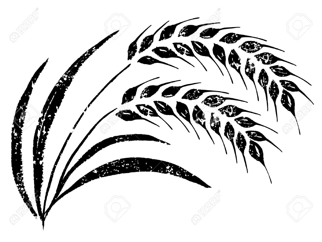 1300x975 Rice Clipart Wheat Plant - Wheat Plant Drawing