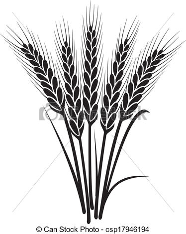 374x470 wheat plant clipart and stock illustrations wheat plant - Wheat Plant Drawing