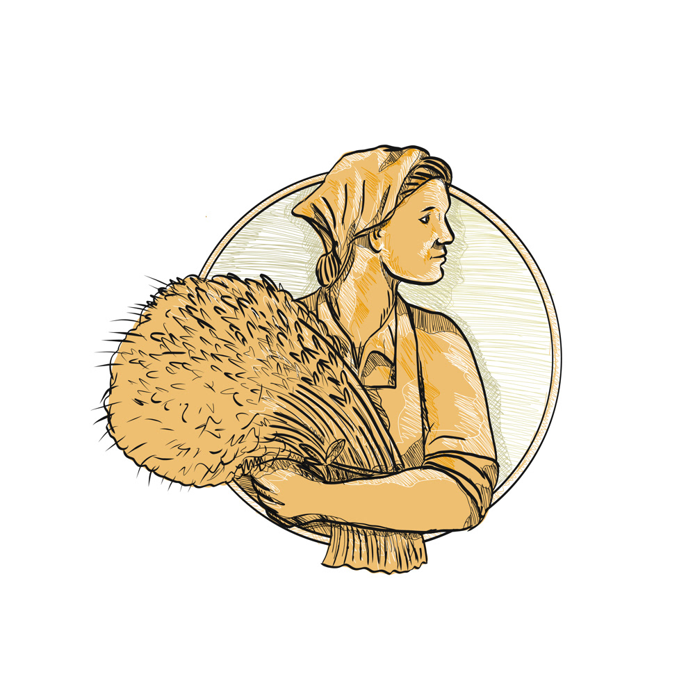 1000x1000 Female Wheat Farmer Drawing On Behance - Wheat Stalk Drawing