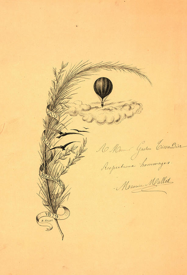 613x900 Stationery Illustrated With A Stalk Of Wheat Wrapped Drawing - Wheat Stalk Drawing