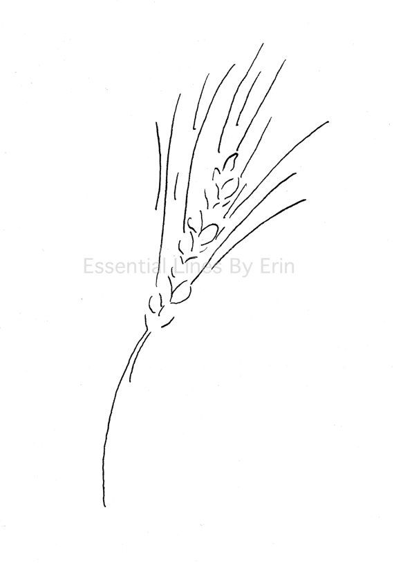 570x815 Wheat Stalk Crop Drawing Original - Wheat Stalk Drawing