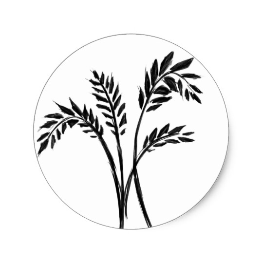540x540 Wheat Stalks Classic Round Sticker Zazzle Ca - Wheat Stalk Drawing