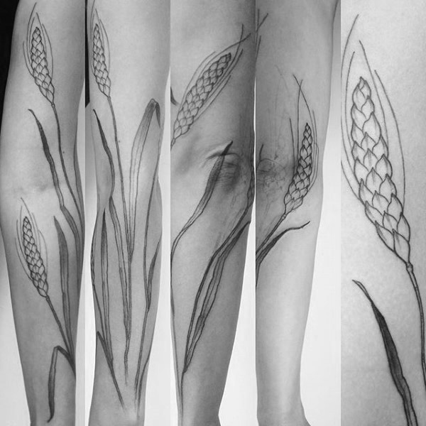600x600 Wheat Tattoo Designs For Men - Wheat Stalk Drawing