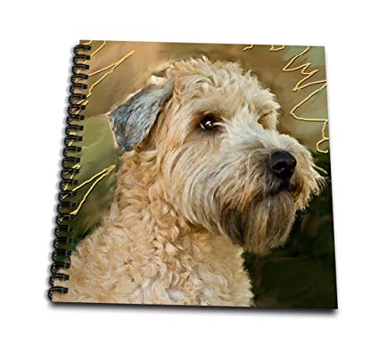 425x386 db soft coated wheaten terrier portrait - Wheaten Terrier Drawing