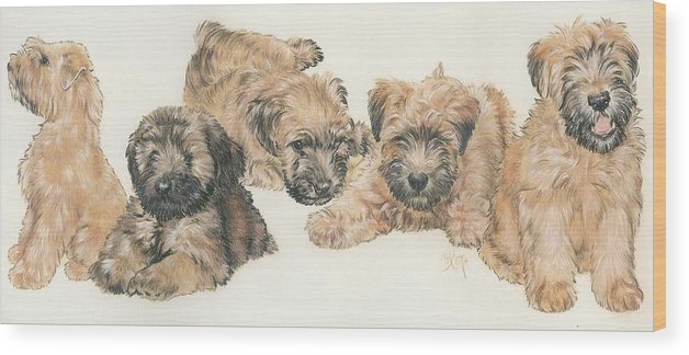 628x324 soft coated wheaten terrier puppies wood print - Wheaten Terrier Drawing