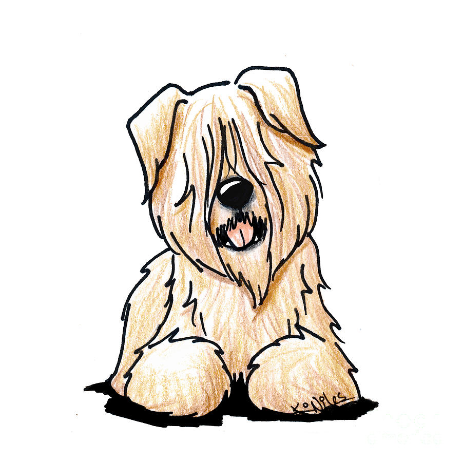 900x900 wheaten smile drawing - Wheaten Terrier Drawing