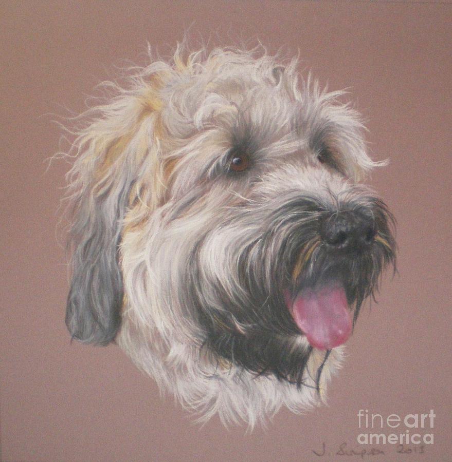 879x900 dennis - Wheaten Terrier Drawing