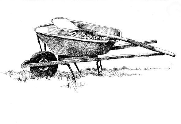 590x405 Red Wheelbarrow Sketch And Painting Garden Art, Drawings - Wheelbarrow Drawing