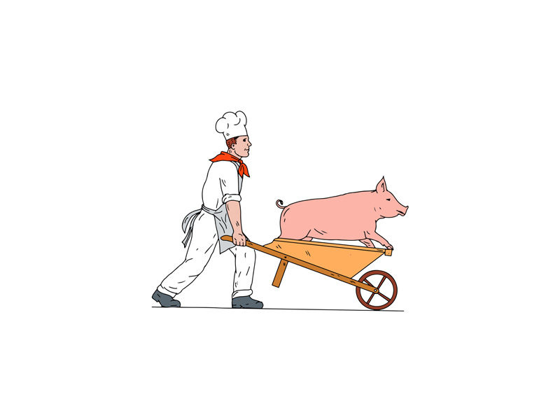 800x600 Chef Pushing Wheelbarrow And Pig Color Drawing - Wheelbarrow Drawing