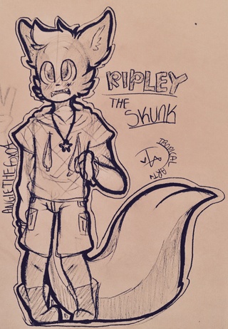 320x462 Skunk Drawings On Paigeeworld Pictures Of Skunk - While Drawing