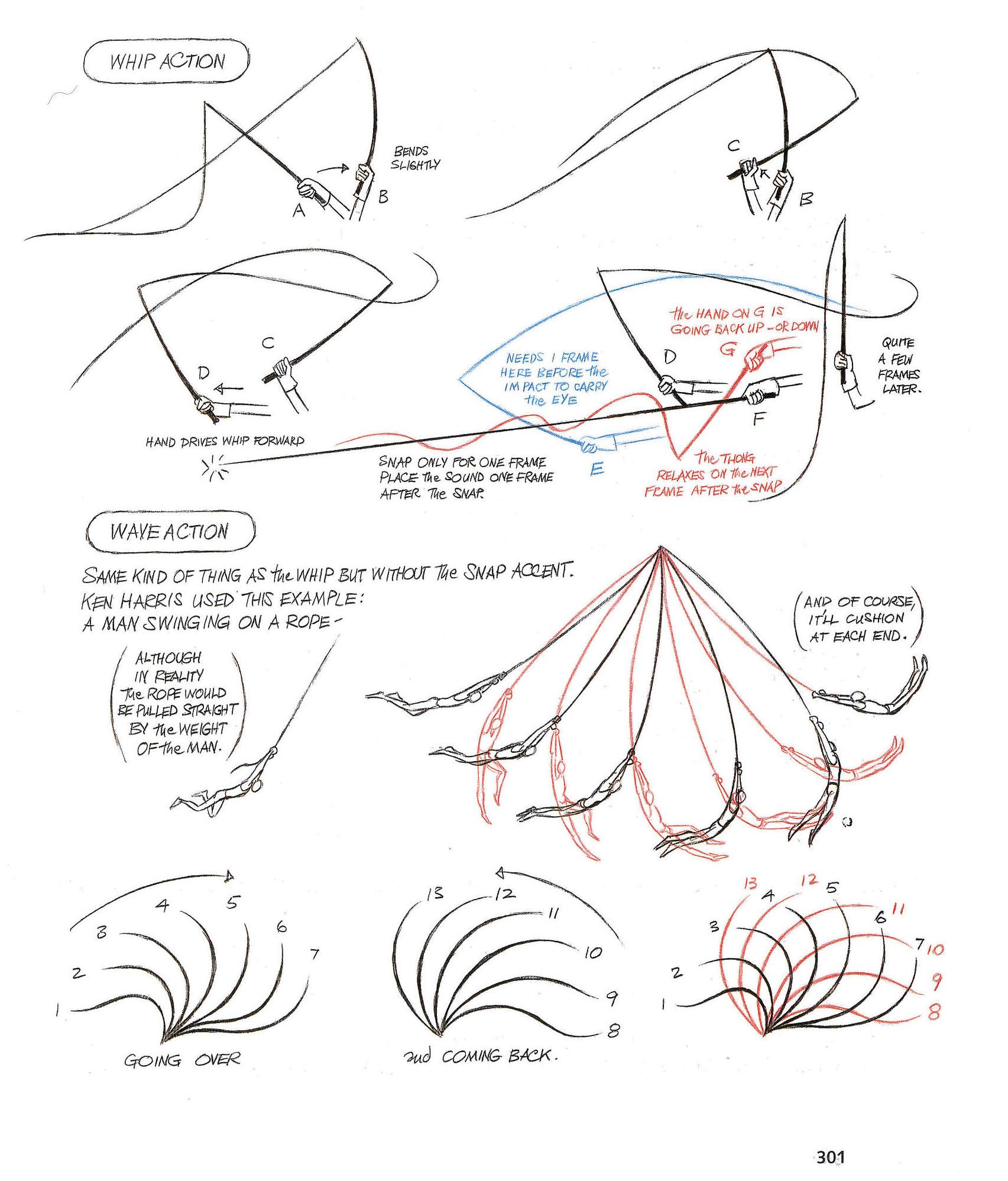 1705x1997 whip and wave animation studies in animation reference - Whip Drawing