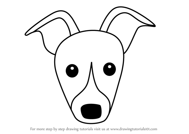 800x567 Learn How To Draw A Whippet Dog Face For Kids - Whippet Drawing