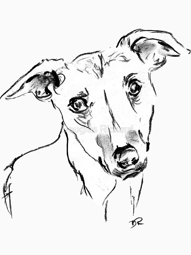 750x1000 Whippet Drawing T Shirt - Whippet Drawing