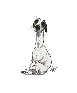 247x300 Whippet Drawings Fine Art America - Whippet Drawing
