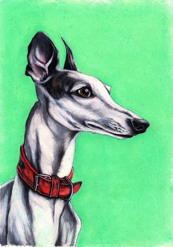 570x814 Whippet Drawing Etsy - Whippet Drawing