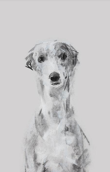 454x709 Ethereal Whippet Sketch Print - Whippet Drawing