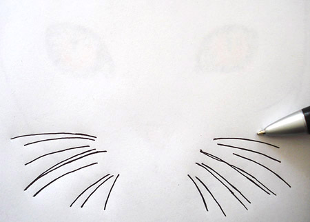 450x322 how to draw a cat learn how to create a unique colorful cat - Whisker Drawing