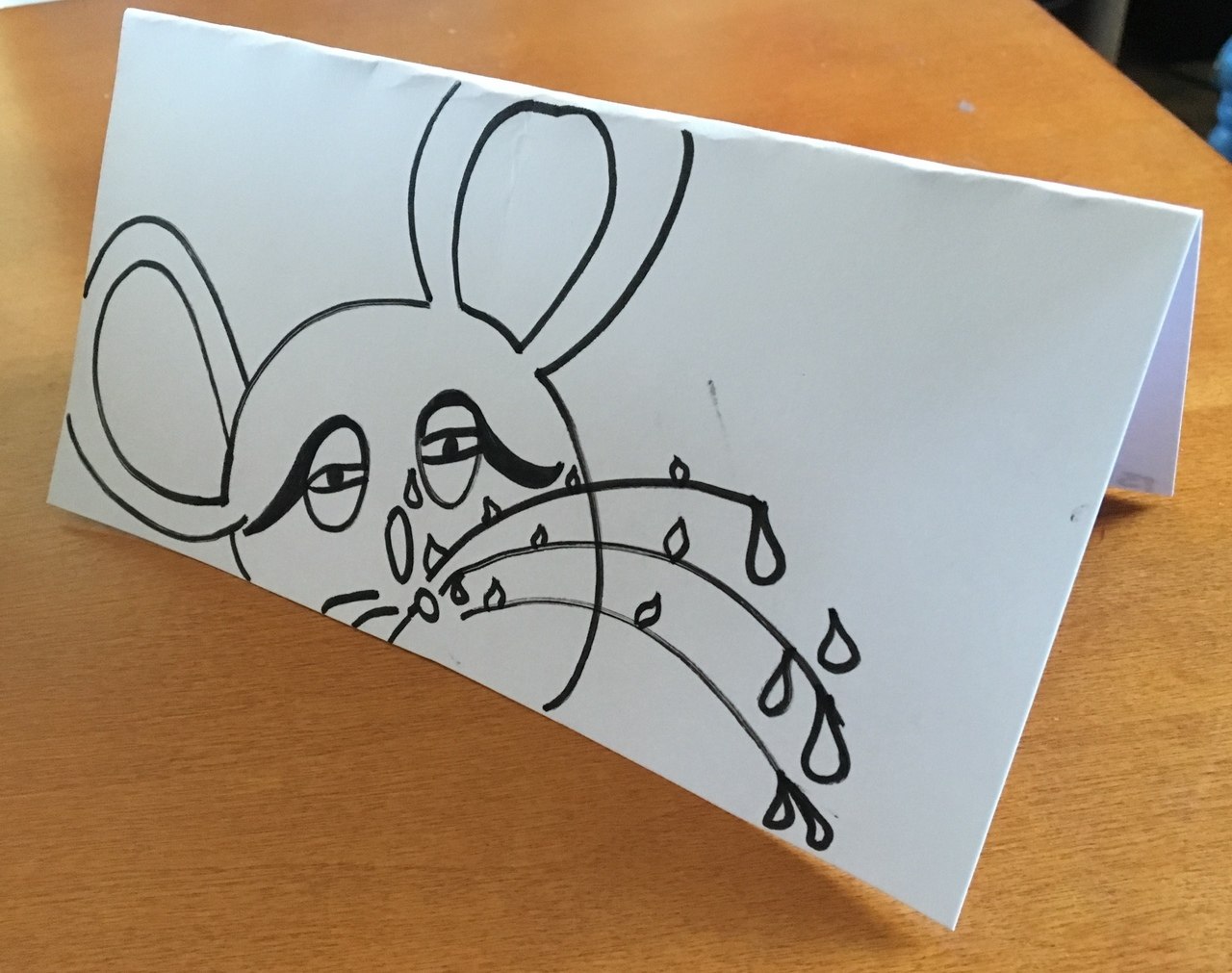 1280x1011 not a dry whisker in the house sad cat greetings - Whisker Drawing