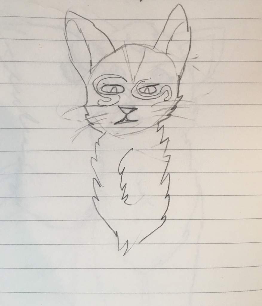 877x1024 squirrel flight + honey whisker drawings warriors amino - Whisker Drawing