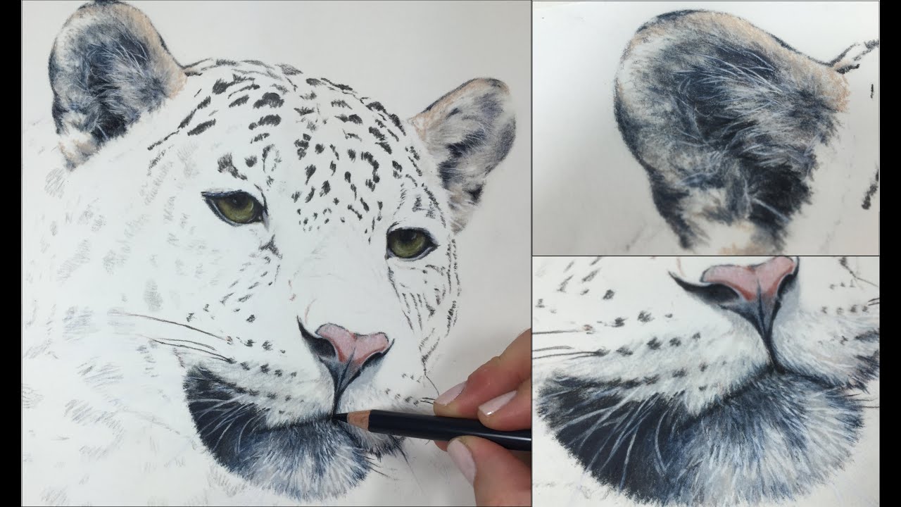 1280x720 tutorial - Whisker Drawing