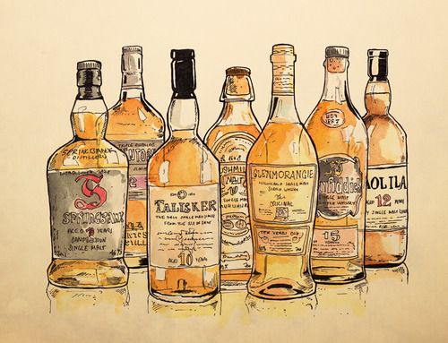500x383 cool drawing of some of the bigger scotch brands beer, whiskey - Whiskey Bottle Drawing