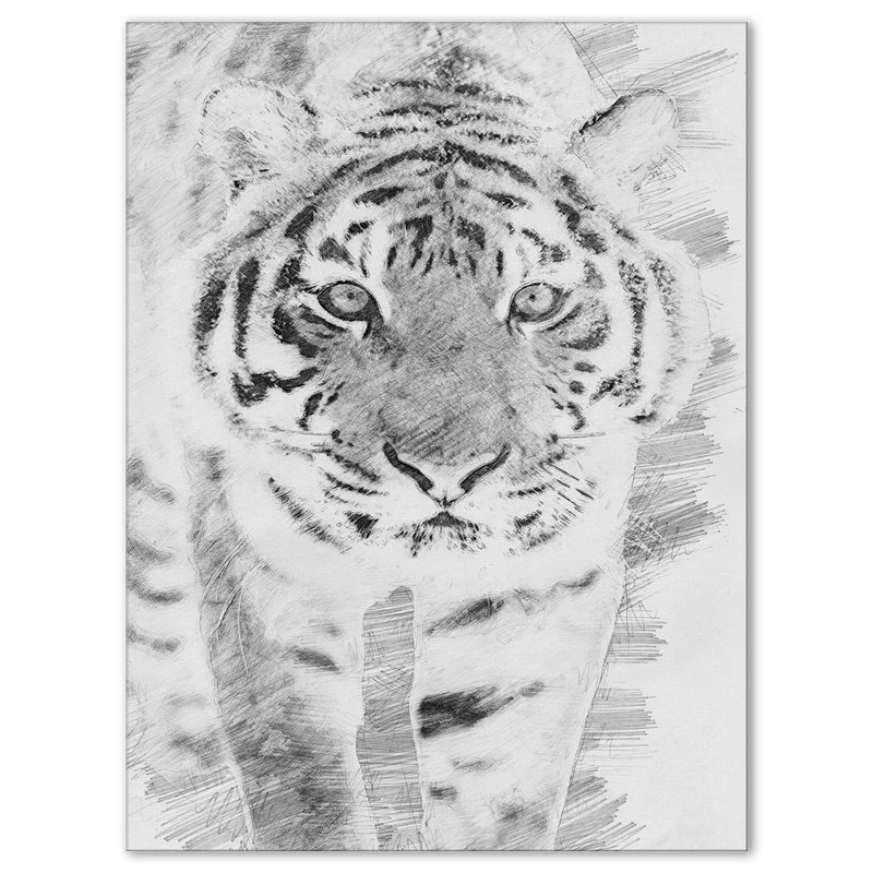 800x800 east urban home 'black and white tiger' drawing print on wrapped - White Bengal Tiger Drawing