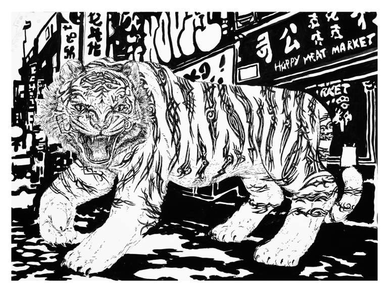 770x578 inked tiger drawing - White Bengal Tiger Drawing