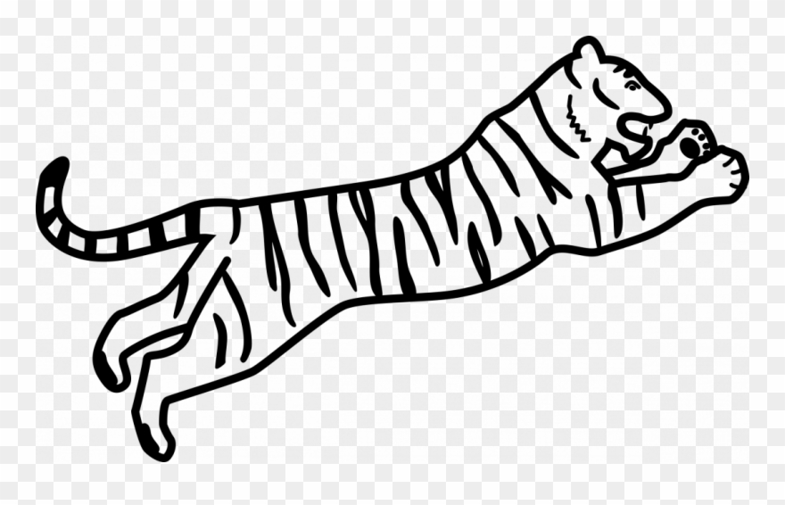 880x566 large size of how to draw a tiger paw for beginners - White Bengal Tiger Drawing