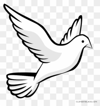 320x340 Royalty Free Bird Clipart Flying - White Bird Drawing